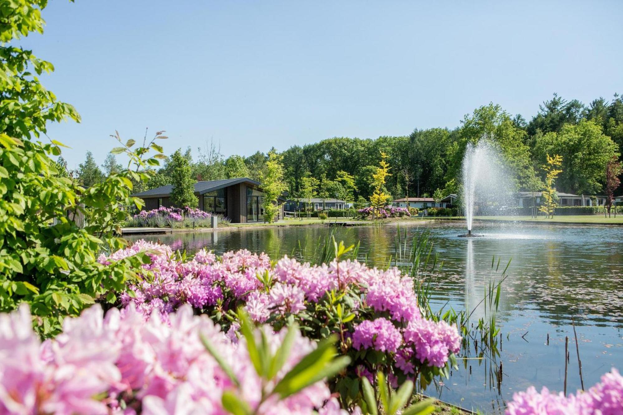 Vakantiepark Molenvelden เวลด์โฮเวน ภายนอก รูปภาพ